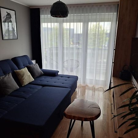 Komfortowy Apartament Dla 7 Osob Ch Arena, Prywatny Parking Gliwice Bagian luar foto